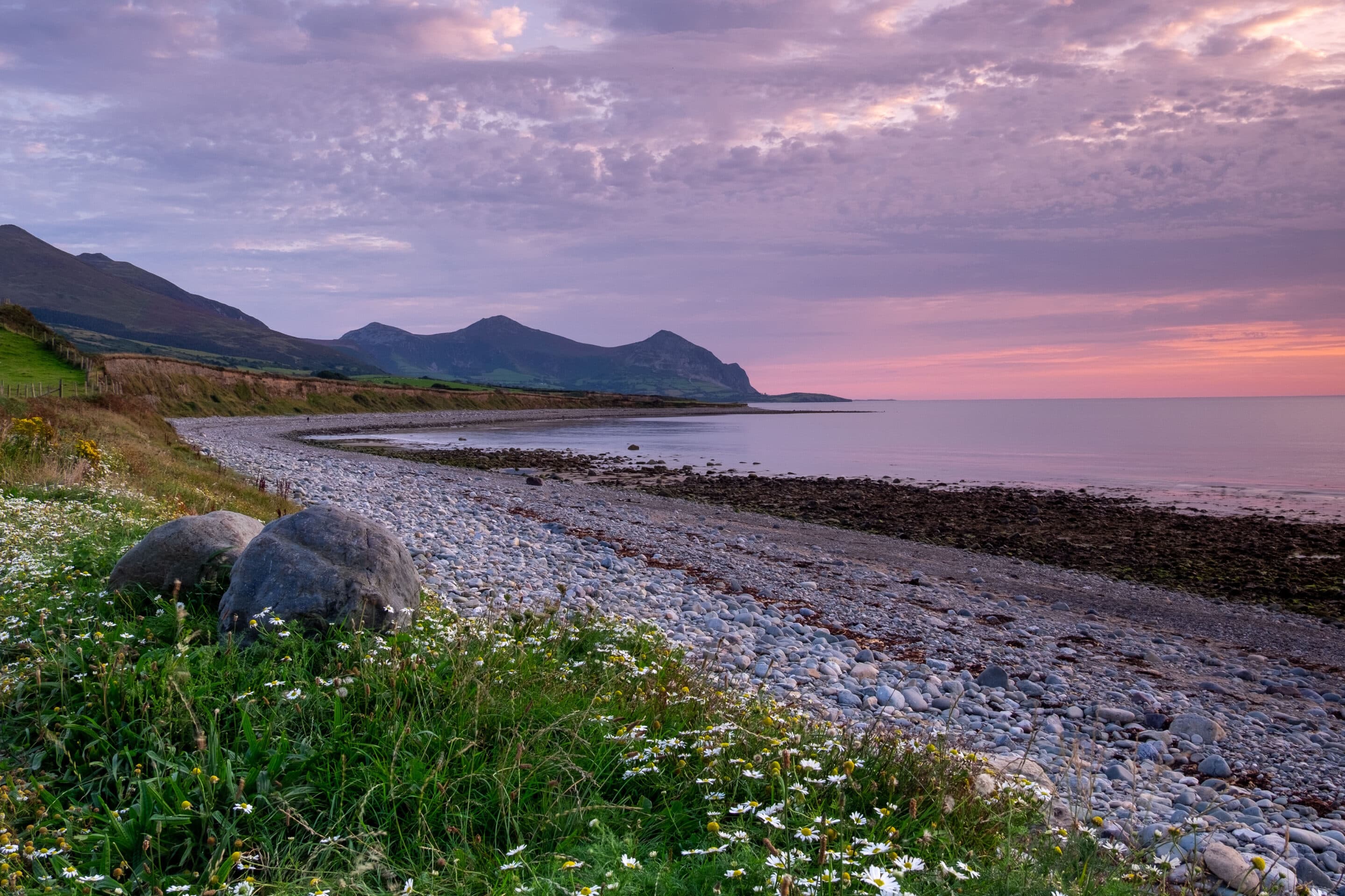 Green Spaces & Recreation: A Natural Playground